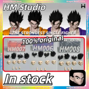 In Stock! HM Studio Son Gohan Series Dragon Ball SHF HM006-08 Mysterious Gohan Accessory Pack 1/12 Doll Head Sculpture No Body