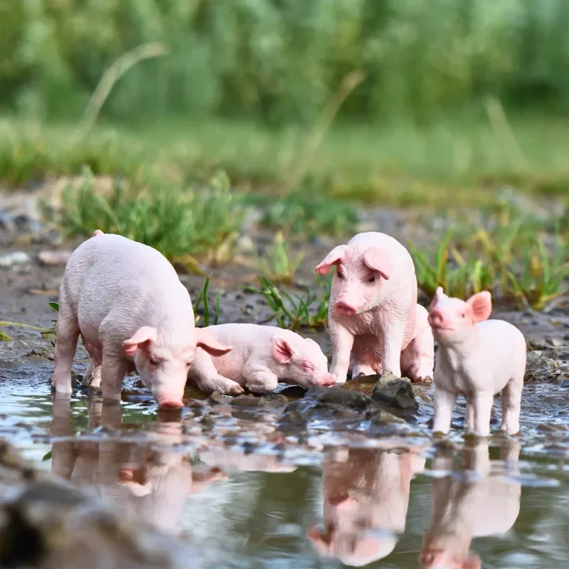 8Pcs Simulation Pig Farm Animal Model Toy Mini Cake Decoration Pig Figures Dolls Action Figurines Toys for Children Set Gift - Image 5