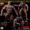 MUFF ADAM 1/12 Male Strong Muscle Joint Body 6'' Super Flexible Comic Accessory Set