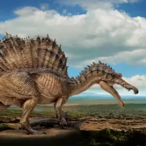 Prehistoric Dinosaur Model 1: 35 Scientific and Artistic Models Spinosaurus Essien Figure Toy Collect Ornaments Festival gift