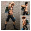 One Piece DX10th Anniversary Fire Fist Escal D Ace Luffy Brother Collectible Figure