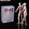 3.75-Inch S.H.Figuarts figma Art Model Sketch Practice Movable Limb Male Female 1:18 Action Figure