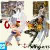 100% Authentic Bandai S.H.Figuarts One Piece Egghead Island: Kizaru & Monkey D Action Figure