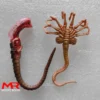 Fire Girl FG027 1/6 Alien Chestburster Facehugger Scene Accessories Props Fit Accessory