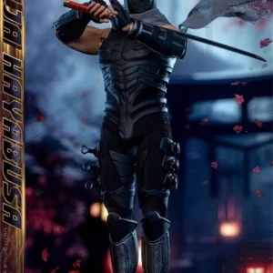 SWTOYS FS063 Asia Handsome Guy Mystery Ninja with 2 Head Full Set Moveable Action Figure Gift For Fans Collect 1/6